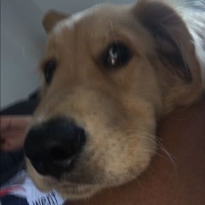 Meet your Posher, Nikita